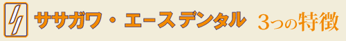ササガワ・エースデンタル3つの特徴